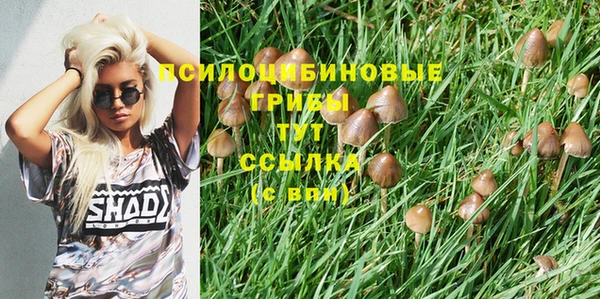 каннабис Санкт-Петербург