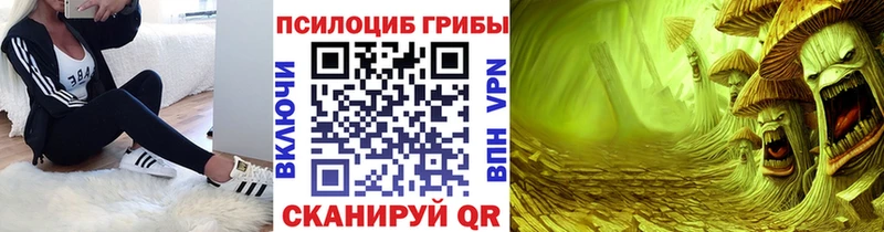 где купить   Лукоянов  Галлюциногенные грибы Cubensis 