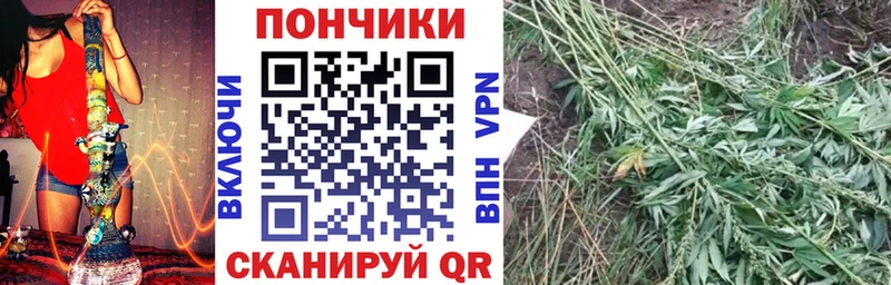 Каннабис семена  где купить   Лукоянов 